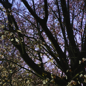 pay for...?(Prod By.Fai x ayoley)