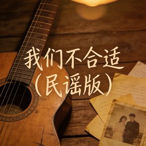 我们不合适（民谣版）