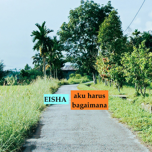Aku Harus Bagaimana