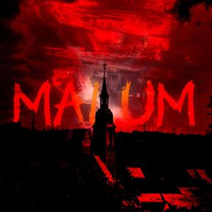 MALUM (ELECTRONIC FUNK)