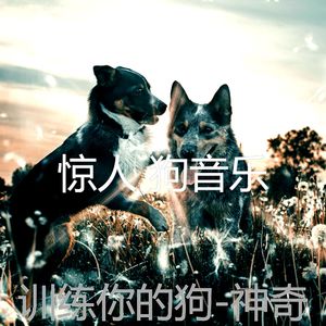 回忆(训练你的狗)