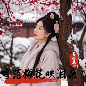 雪落梅花映泪痕