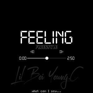 FEELING freestyle（prod by 房间里的大象）