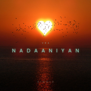 Nadaaniyan