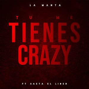 Tu Me Tienes Crazy