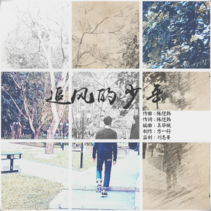 追风的少年(inst.)