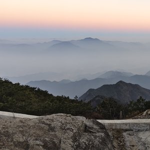 海洋微风中的无言默契