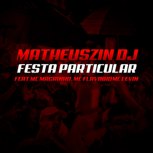 Festa Particular (feat. Mc Magrinho, MC Flavinho & MC Levin)
