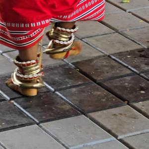 Swaamiye Ayyappo (സ്വാമിയേ അയ്യപ്പോ)