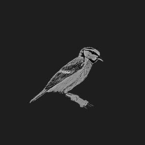 Taudis à la Villa (feat. Maniere Anonyme)