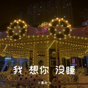 我 想你 没睡