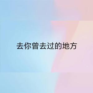 去你曾去过的地方 (live)