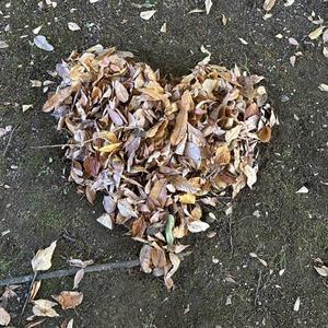 私を愛してくれる人はいるのかな？