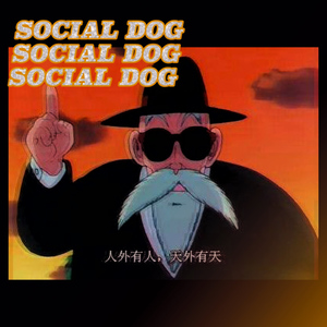 social dog