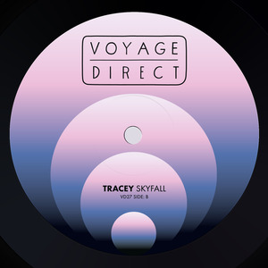 Skyfall (Deniro Mental Remix)