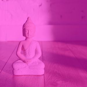 柔和的休息时刻
