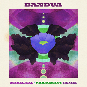 Macelada (Phragmant Remix)