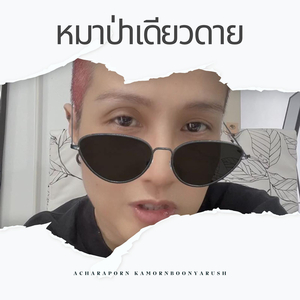 หมาป่าเดียวดาย