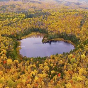 迈阿密（Prod By dRabbit）