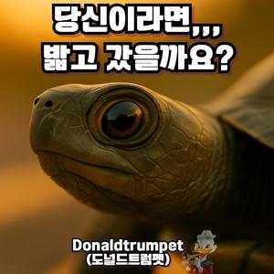 당신이라면… 밟고 갔을까요? (5)
