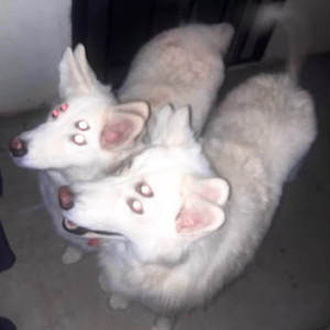 ME MYSELF AND WHATEVER THAT SUBSTANCE IS ON THE WALL OVER THERE