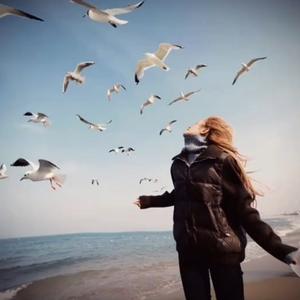 (大户_七哥+iqoo)v8