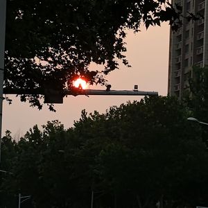 嘴硬
