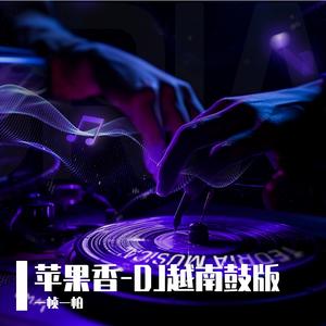 苹果香 - DJ越南鼓版