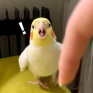 莫名我就喜欢你（钢琴）