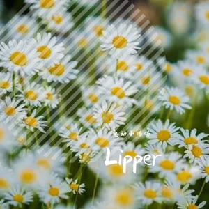 Lipper