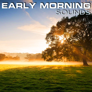 Early Morning Nature Sounds