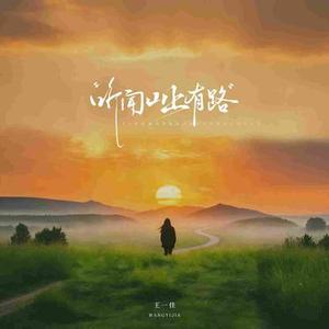 听闻山上有路 (dj阿尼版)