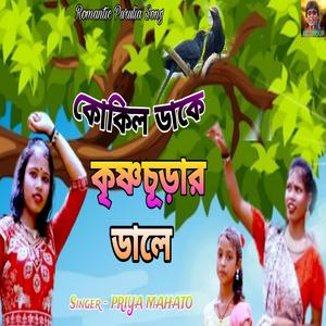 Kokil Dake Krishna Churar Dale