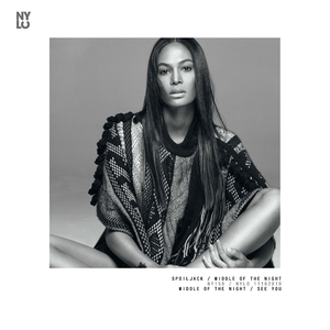 Middle of the Night (Original Mix)