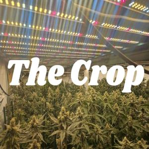 The Crop
