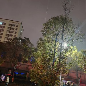 藏雨