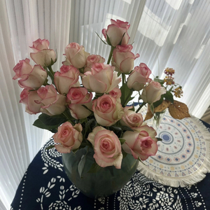 永远停留在最好的年纪