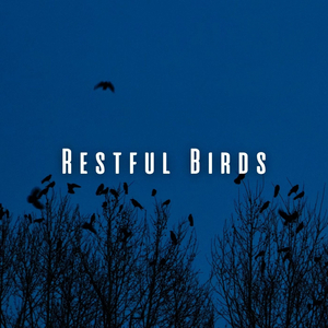 Window Symphony Slumber