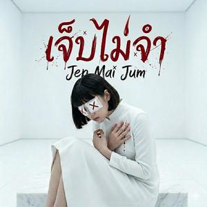 เจ็บไม่จำ