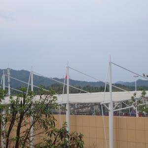 米跳熊