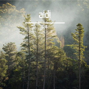 aidi