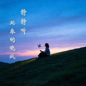 静静听北来的晚风