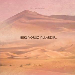 Bekliyoruz Yıllardır (Enstrümantal)