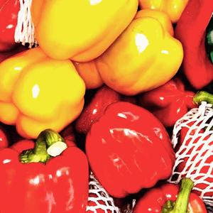 阿月汽黄昏时分骤雨