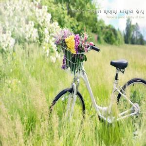 고백하기 좋은 날