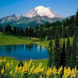 木音疏肝，羽调养肾