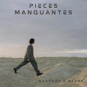 Pieces Manquantes
