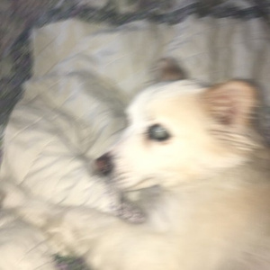 Cigarettes (prod. qin)