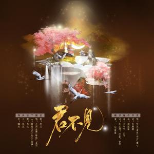 君不见（剧情版）（翻自 艾辰）