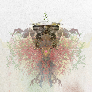 ขอบคุณ (Analog)